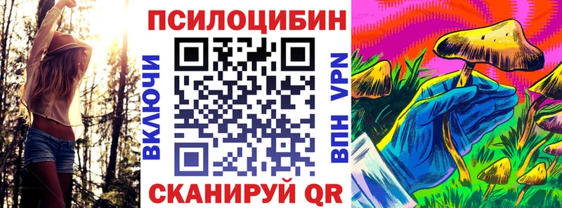 Псилоцибиновые грибы Cubensis кракен как зайти Краснознаменск