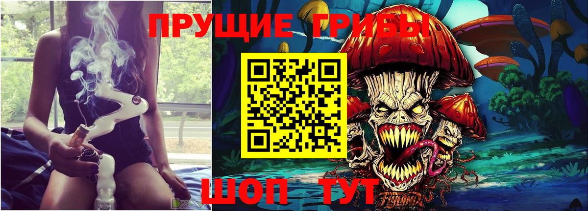 Краснознаменск  Псилоцибиновые грибы ЛСД  Вход с VPN  Псилоцибиновые грибы Psilocybine cubensis 