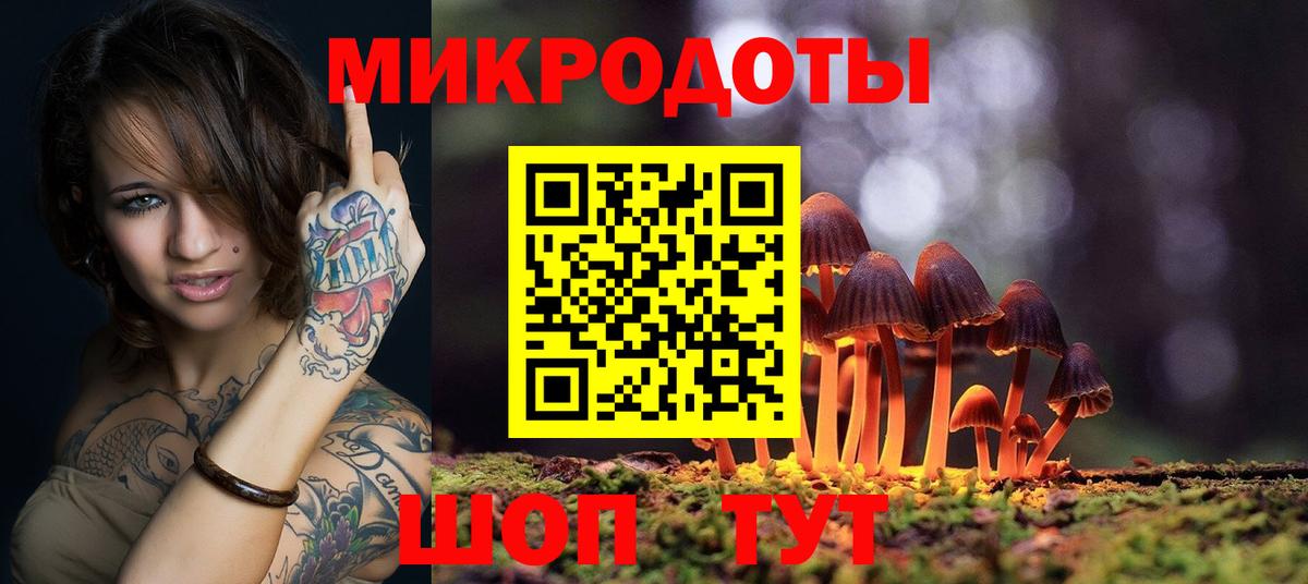 Псилоцибиновые грибы Psilocybe Краснознаменск